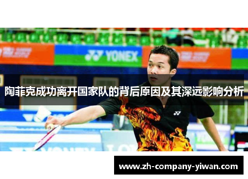 陶菲克成功离开国家队的背后原因及其深远影响分析