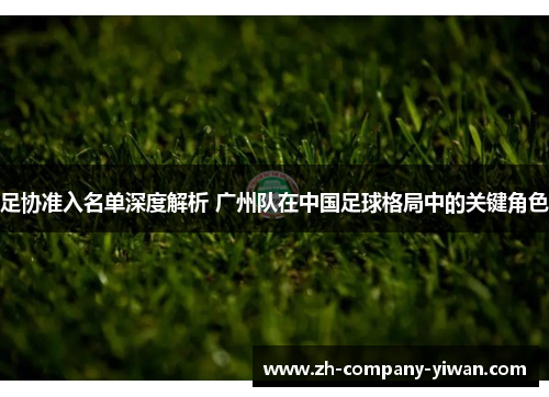 足协准入名单深度解析 广州队在中国足球格局中的关键角色